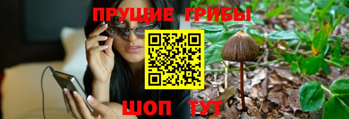 Муравленко  Псилоцибиновые грибы ЛСД  Вход с VPN 
