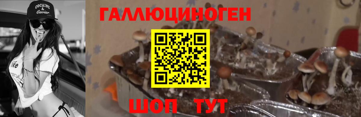Псилоцибиновые грибы ЛСД Муравленко